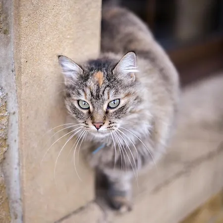 D'hotes La Fraiseraie 3* Tellancourt