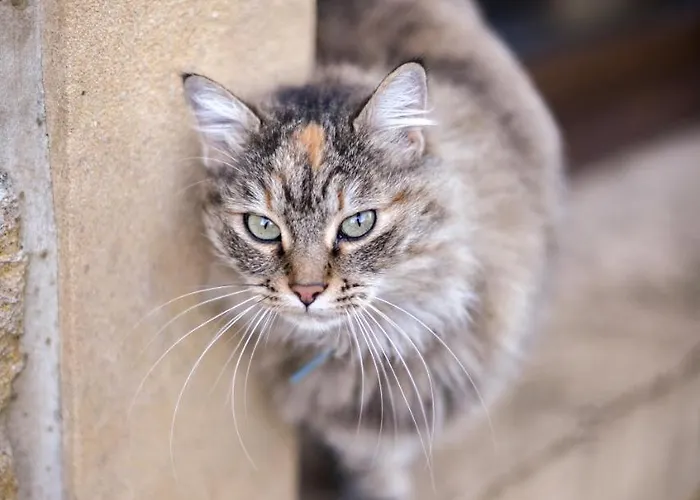 D'hotes La Fraiseraie 3* Tellancourt